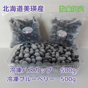 ふるさと納税 美瑛町 [015-84]北海道美瑛産冷凍ハスカップ500g・冷凍ブルーベリー500g