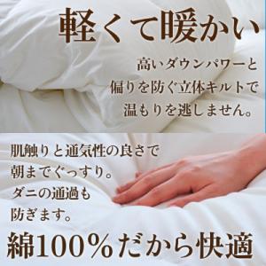 ふるさと納税 山梨市 本掛け羽毛布団 (ダブル...の詳細画像2