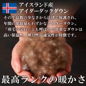 ふるさと納税 山梨市 本掛け羽毛布団(シングル...の詳細画像2