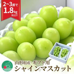 シャインマスカット 1.8kg 2～3房 大粒 秀品 ギフト箱 山形県産 【令和8年産 先行予約】