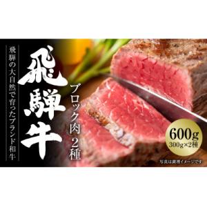 ふるさと納税 高山市 飛騨牛 ブロック肉2種(霜降り/赤身) 各300g飛騨高山ミート MZ023