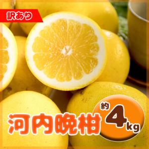 訳あり 河内晩柑 サイズ不揃い 約4kg