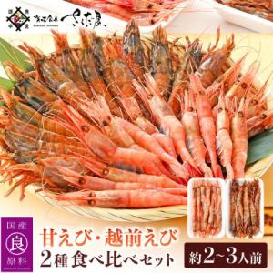 ふるさと納税 越前町 新鮮!えび 2種 食べ比べ セット(甘えび 越前えび)約2〜3人前｜y-sf