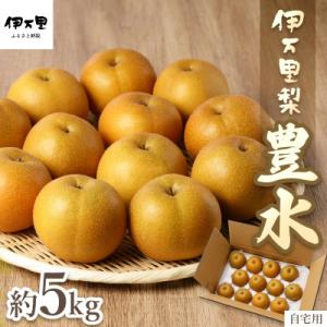 ふるさと納税 伊万里市 【令和6年産先行予約】伊万里梨 「豊水」 約5kg(約10〜16玉)　B16...