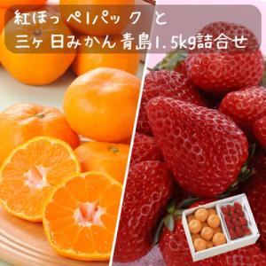 紅ほっぺいちご1パックと三ヶ日みかん青島1.5kg
