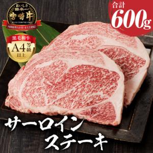内閣総理大臣賞4連覇 宮崎牛 A4～A5 黒毛和牛 牛肉 サーロインステーキ  3枚入り 600g
