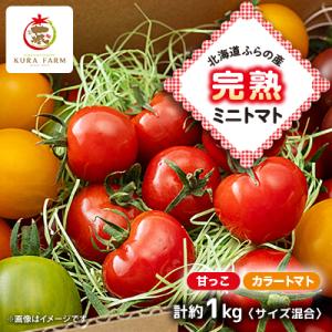 【先行受付　2026年発送】北海道ふらの産　完熟ミニトマト〈甘っこ・カラートマト〉約1kgサイズ混合