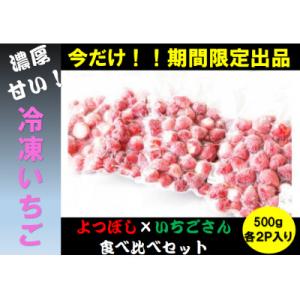 ふるさと納税 小城市 朝取り!冷凍いちご!!【よつぼし】【いちごさん】食べ比べ各500g×2パック　...