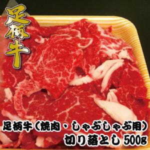 ふるさと納税 大井町 足柄牛【焼肉・しゃぶしゃぶ用】切り落とし500g｜y-sf