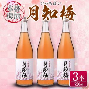 ふるさと納税 綾町 【雲海酒造】国産梅100%使用　本格梅酒「月知梅」720ml×3本　合計2160ml(綾町)｜y-sf