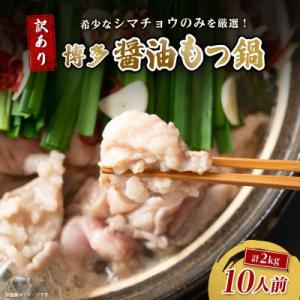 訳あり!博多醤油もつ鍋　10人前(2人前×5セット)