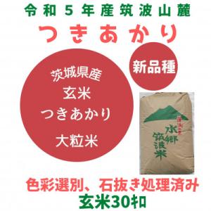 ふるさと納税 土浦市 【6月中旬より順次発送】令和5年産茨城県産つきあかり玄米30kg　黒斑点米・小...