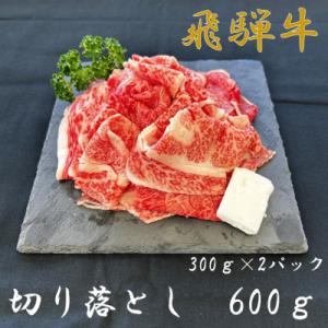 ふるさと納税 笠松町 飛騨牛切り落とし300g×2パック