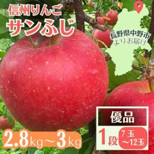 ふるさと納税 中野市 信州りんご サンふじ(1段)2.8kg〜3kg 優品【11月中旬より順次発送】