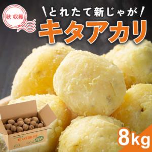【先行受付】2026年10月より発送　新じゃが　キタアカリ　8kg　北海道産のじゃがいも_03813