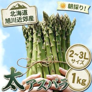 2026年産【2L～3L】【朝採り当日発送!瑞々しく甘い!】北海道産アスパラ1kg_03817