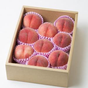 【26年8月より発送】固いもも 福島県伊達市産「おどろき」約3kg(7～11玉)