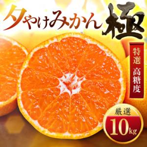 【迷ったらこれ!】甘みが濃縮　夕やけみかん【極】10kg　愛媛県産【G49-27】