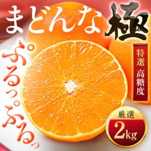 ふるさと納税 八幡浜市 「夕やけブランド」ぷるぷる食感【まどんな】2kg　※紅まどんな と同品種　【...