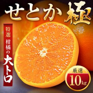 【毎年大人気】柑橘の大トロ!【せとか】10kg　愛媛県産【H49-68】