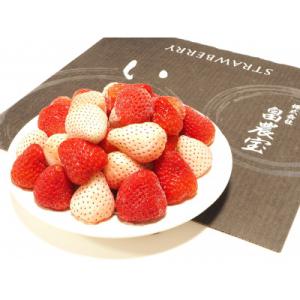 ふるさと納税 牧之原市 高級紅白いちご　冷凍紅白セット　『Sweet milk berry650g』...