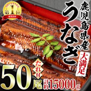 ふるさと納税 東串良町 <大満足>東...の商品画像