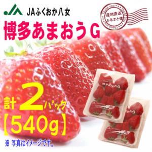 『先行受付』【博多あまおうグランデ270g×2パック】JAふくおか八女より産地直送※2月より順次発送