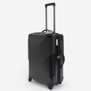 ふるさと納税 赤平市 N700系typeA 東海道新幹線モケットハードスーツケース_MIDDLE No.5703277
