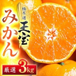 【愛媛名産】玉宝みかん 3kg【C64-26】