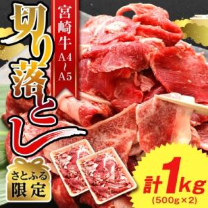 【さとふる限定】A4～A5 宮崎牛 黒毛和牛 切り落とし 合計 1kg (500g×2) (日向市)