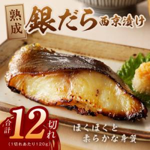 銀鱈 西京漬け 120g×12切れ 職人厳選 kgp0017