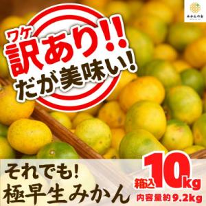 ふるさと納税 有田川町 訳あり 有田みかん【極早生】箱込 10kg (内容量 9.2kg) サイズミ...