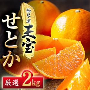 「玉宝ブランド」【せとか】2kg【C64-46】