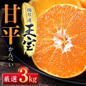 ふるさと納税 八幡浜市 「玉宝ブランド」【甘平】3kg【E64-44】