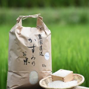 令和7年産 美濃加茂産のお米 「ハツシモ」　  10kg