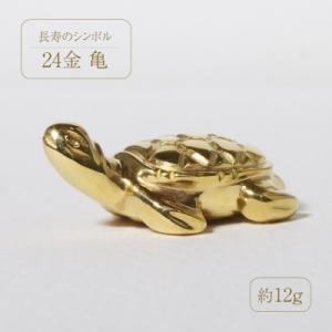 ふるさと納税 甲斐市 K24　亀【BQ-135】