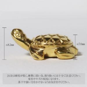 ふるさと納税 甲斐市 K24 亀【BQ-135】の詳細画像2