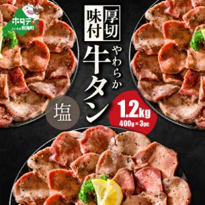 熟成 牛タン 焼肉用 大満足1.2kg やみつき塩だれ タン塩 牛タン厚切りスライス ふるさと納税