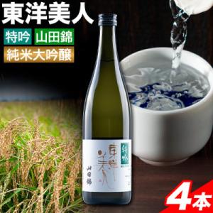 ふるさと納税 鞍手町 東洋美人　特吟　純米大吟醸(720ml×4本・日本酒)｜y-sf