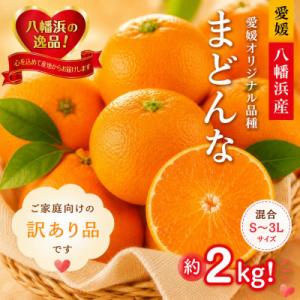 2026年11月より発送開始　ぷるぷる食感!!「まどんな」約2キロ【訳あり・家庭用】【C39-58】