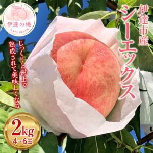 先行予約 福島の桃 シーエックス 2kg(4～6玉) 【あかい果樹園】 F20C-907