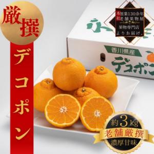 【2027年3月中旬より順次発送】厳選!濃厚甘味の「デコポン」約3kg