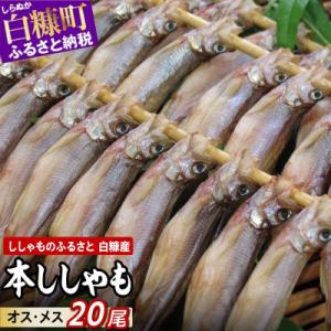 しらぬか産 本ししゃも 【数量限定】計20尾