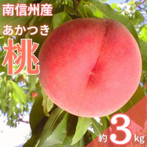 2026年先行予約!【7月下旬より順次発送】南信州産「桃」あかつき 約3kg【10~12玉】
