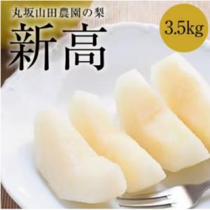 岐阜県美濃加茂市 :山之上 梨  <新高> 　1箱　 約3.5kg