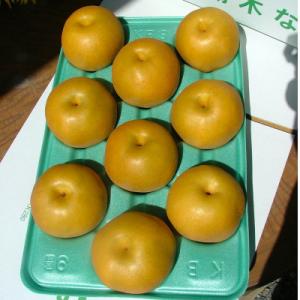 栃木県小山市産「梨」豊水　5kg