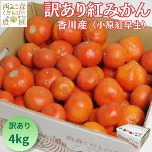 『2026年12月より順次発送』香川オリジナル品種「紅みかん(小原紅早生)」訳あり品4kg