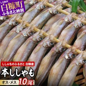 しらぬか産 本ししゃも 【数量限定】計10尾