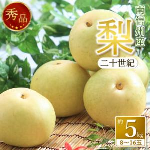 【南信州産】梨「二十世紀」秀品 約5kg(8～16玉) <2026年9月上旬より順次発送>