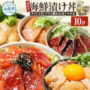 【訳あり】土佐の海鮮漬け丼5種各2袋セット 海鮮丼の具